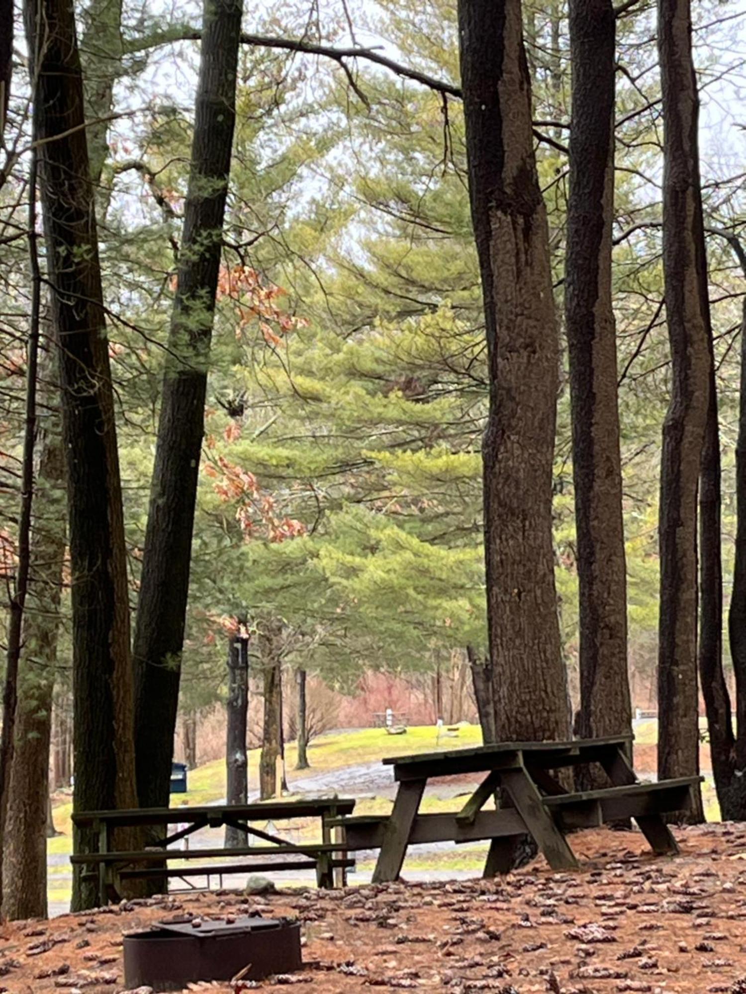 Interlake Rv Park & Campground Rhinebeck Buitenkant foto